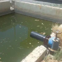 باغ هشت صدمتری واقع درشهرعلویجه