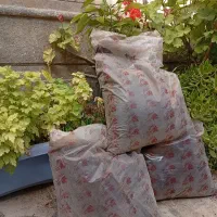 کود ورمی کمپوست