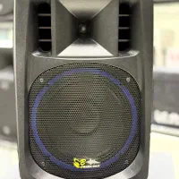 اکو همراه برین صوت 3695