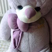 خرس بامزه