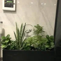 (درخت نخل وارداتی) برگ پهن فلاور باکس درختچه فنیکس|گل مصنوعی|تهران, افسریه شمالی|دیوار