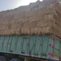 خرید و فروش یونجه پرس،کاه پرس(قالبی)|لوازم جانبی حیوانات|شیراز, گل سرخ|دیوار