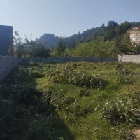 بام پیرهرات سندتک برگ با پروانه عروسک|فروش زمین و ملک کلنگی|اسالم, |دیوار