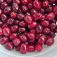 رب زغال اخته|خوردنی و آشامیدنی|محمدیه-قزوین, |دیوار