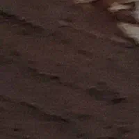 داوطلب تحقیق از روستای حسین مهردل زهک هزینه میدم