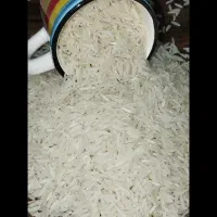 برنج فجر سوزنی