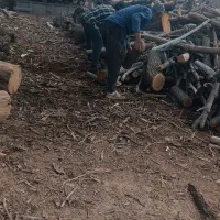 کارگر به یک زن مرد نیاز دارم