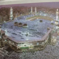 فیش عمره مفرده