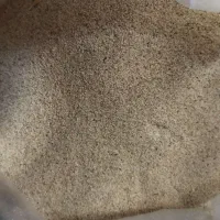 درختی|گل و گیاه طبیعی|کوهدشت, |دیوار