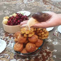 حلزون کلاژن ساز