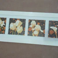 تابلو ۳ عدد|تابلو، نقاشی، عکس|تالش, هشتپر|دیوار