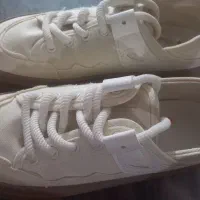 کفش زنونه|کیف، کفش، کمربند|بندر کنگان, |دیوار