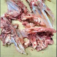 اسکلت و گردن مرغ