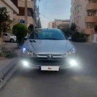 ۲۰۶ تیپ ۳ استثنایی