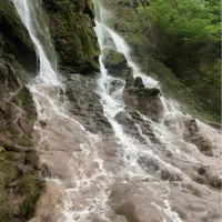 تور شمال