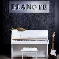 سازهای دیجیتالی پیانو|پیانو، کیبورد، آکاردئون|بجنورد, |دیوار