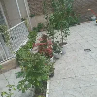 گل طبیعی