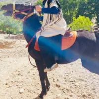 لباس محلی چوغا و تبیت از ۴تا۱۲سال