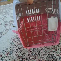 باکس حمل پت