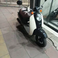 هوندا پاکشتی ۵۰ سی سی