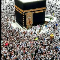 فروش دوعددفیش حج واجب ثبت نامی سال84و85