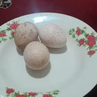 تخم بوقلمون نطفه دار