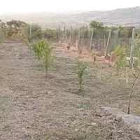 علفتراشی فنس کشی باغ