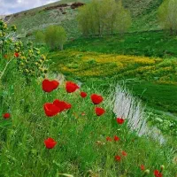 تور و طبیعت گردی