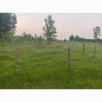 فروش زمین ۱۵۰۰ متری واقع درروستای نوخاله جعفری|فروش زمین و ملک کلنگی|تولم شهر, |دیوار