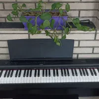 پیانو دیجیتال یاماها|پیانو، کیبورد، آکاردئون|کرج, شهرک بنفشه|دیوار
