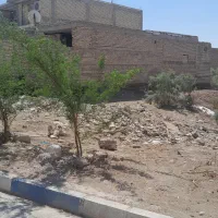 زمین