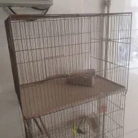 قفس پرنده
