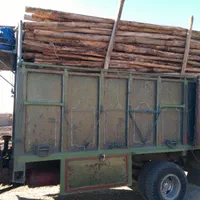 خرید چوب گلخونه ای|خدمات باغبانی و درختکاری|پیشوا, |دیوار