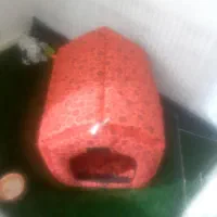 خونه پت|لوازم جانبی حیوانات|پرند, فاز ۴|دیوار