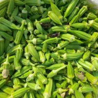 بامیه تازه درحمیدیه