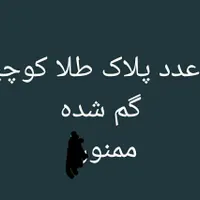 .دو پلاک طلا کوچیک  شوش گم شدن