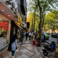 40-متر-تجاری-بحر-اصلی-وایین-اجاره