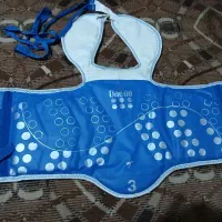 هوگو تکواندو