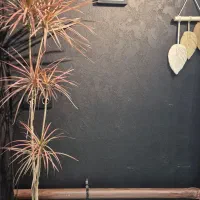 کار در نانوایی