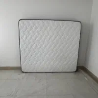 تشت سالویا ۱۸۰در۲۰۰