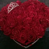 گل جاودان گل ربانی