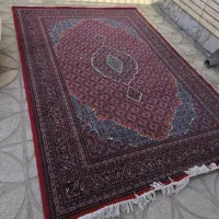 فرش 6متری|فرش|کرمانشاه, |دیوار