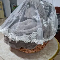 فروش کریر فانتزی نوزاد