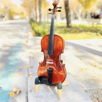 ویالون مدل۱۴۶ سایز۴/۴ m.v