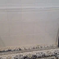 محافظ صفحه تلویزیون۵۵اینج