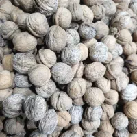 گردوی درجه یک ۳۴۰ هزار