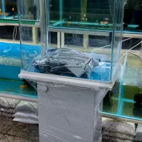 آکواریوم شیشه خم شرکتی دلساوآکوا باارسال|ماهی|تهران, تولید دارو|دیوار