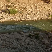 بلیط قطار وهواپیما