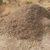 پوست بادام برای دام
