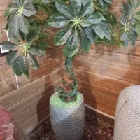 گلدون گل مصنوعی